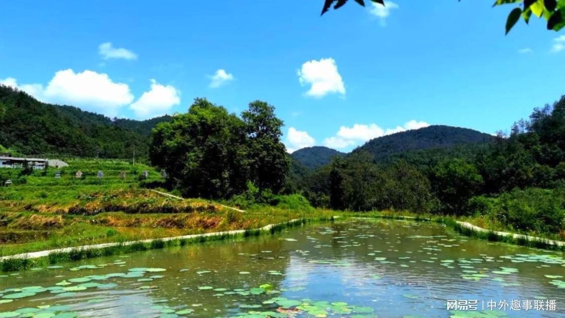 抖音小时全自助下单网站：自媒体创意文案策划涨粉秘籍全攻略